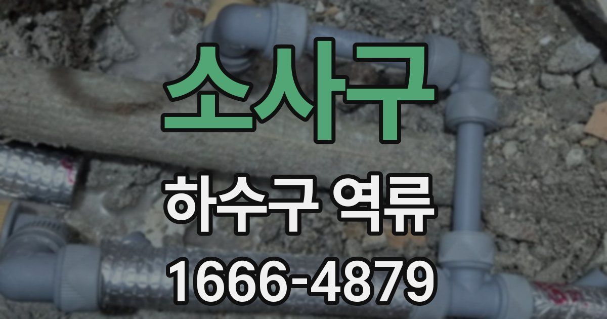 소사구 하수구 역류