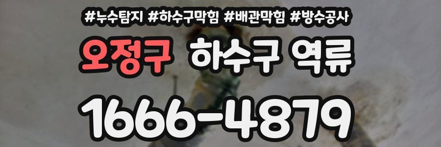 오정구 하수구 역류