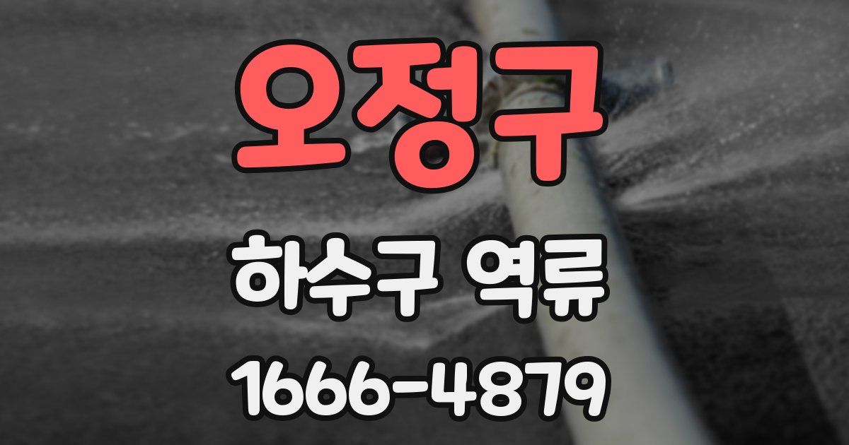 오정구 하수구 역류