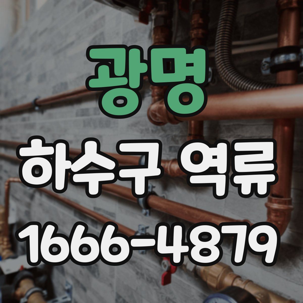 광명 하수구 역류