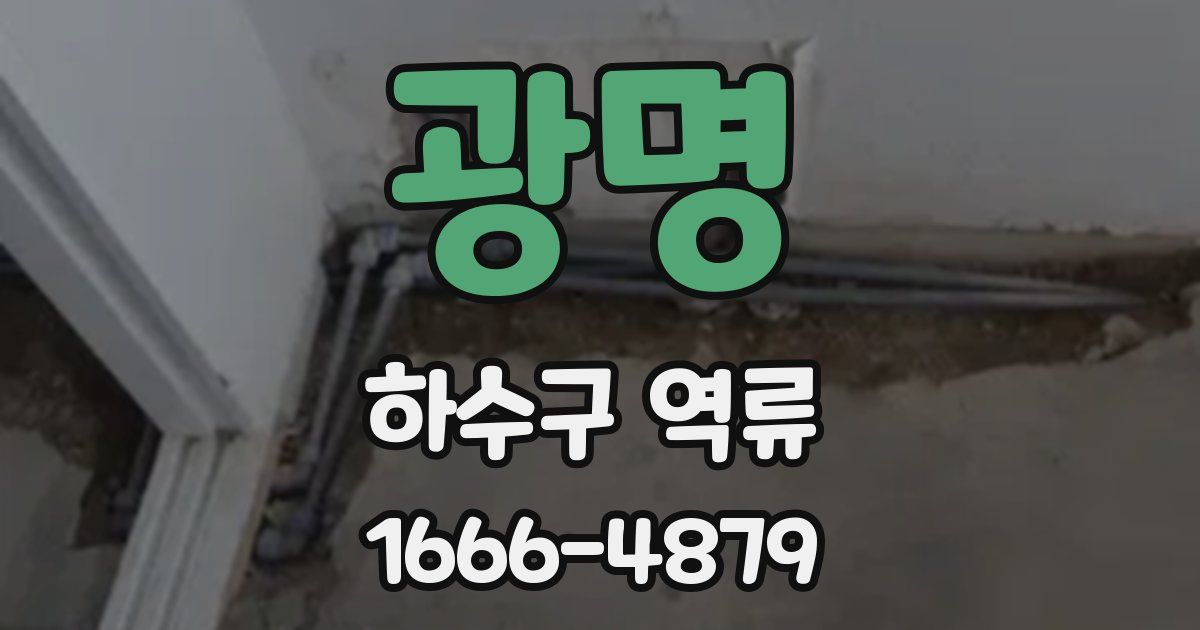 광명 하수구 역류