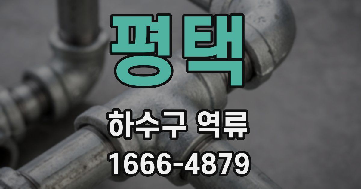 평택 하수구 역류