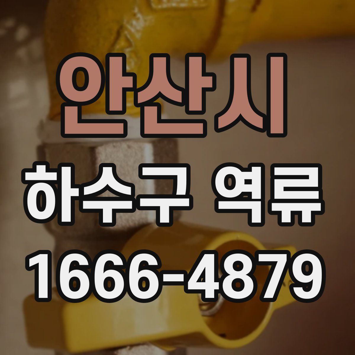 안산시 하수구 역류