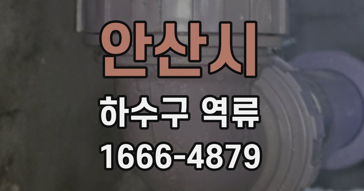 안산시 하수구 역류