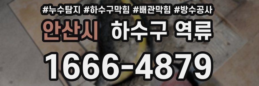 안산시 하수구 역류