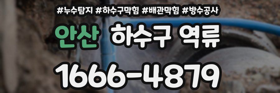 안산 하수구 역류
