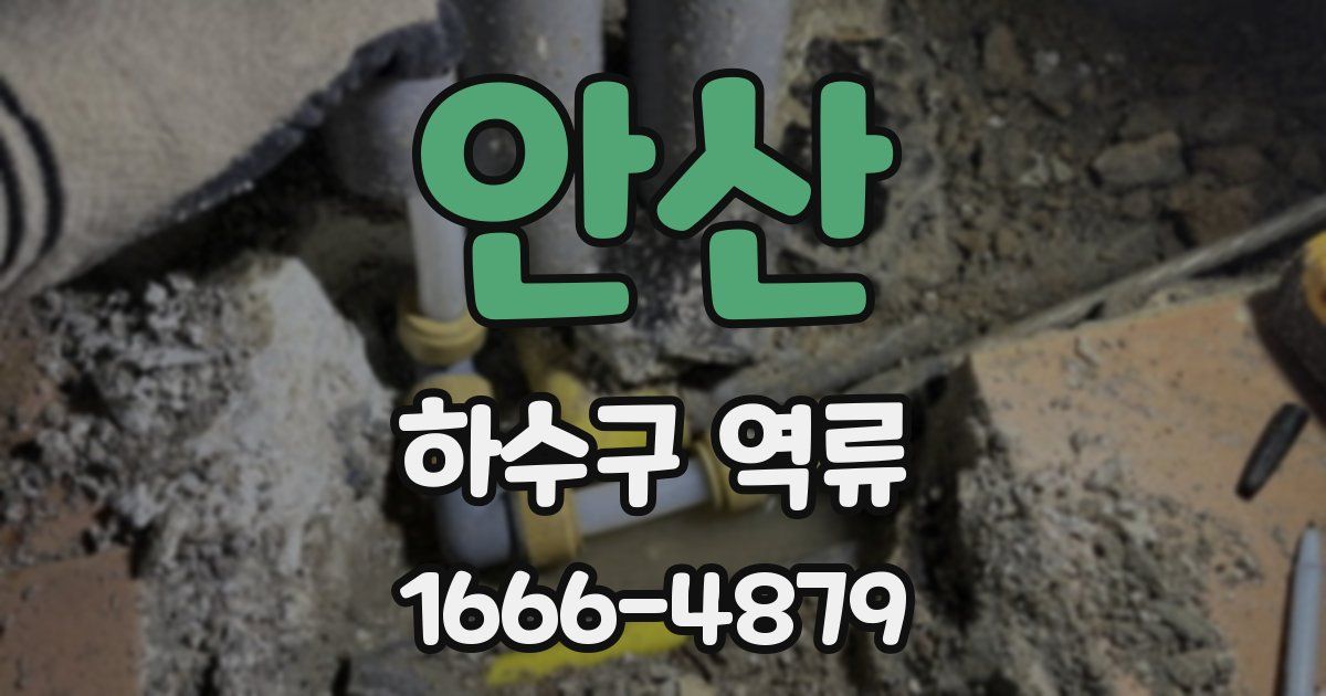 안산 하수구 역류