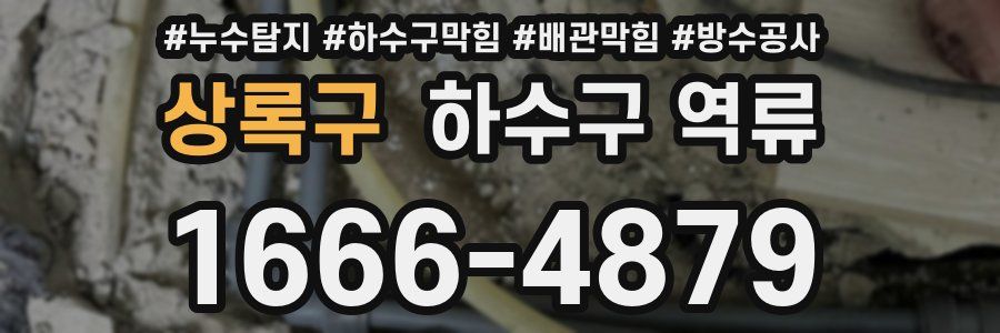 상록구 하수구 역류