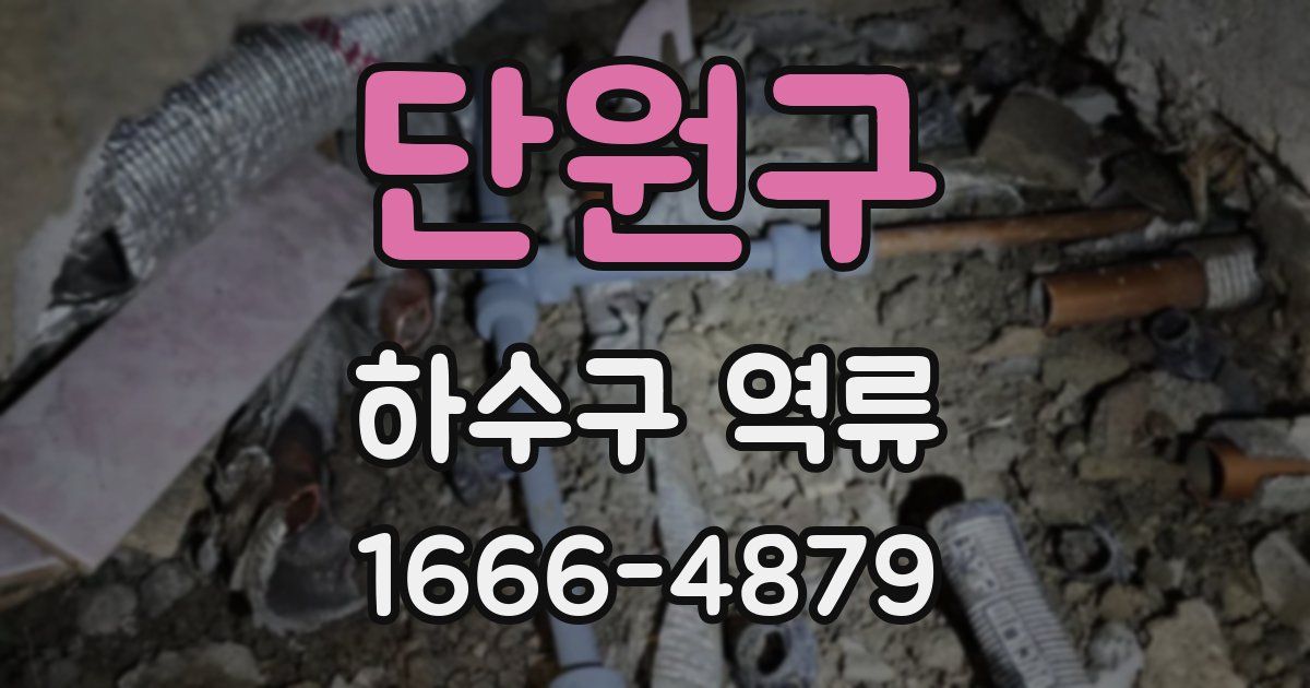 단원구 하수구 역류