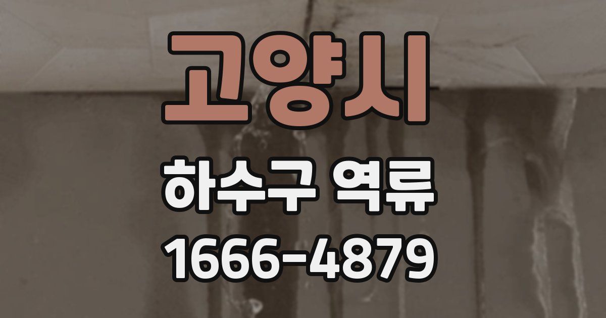 고양시 하수구 역류
