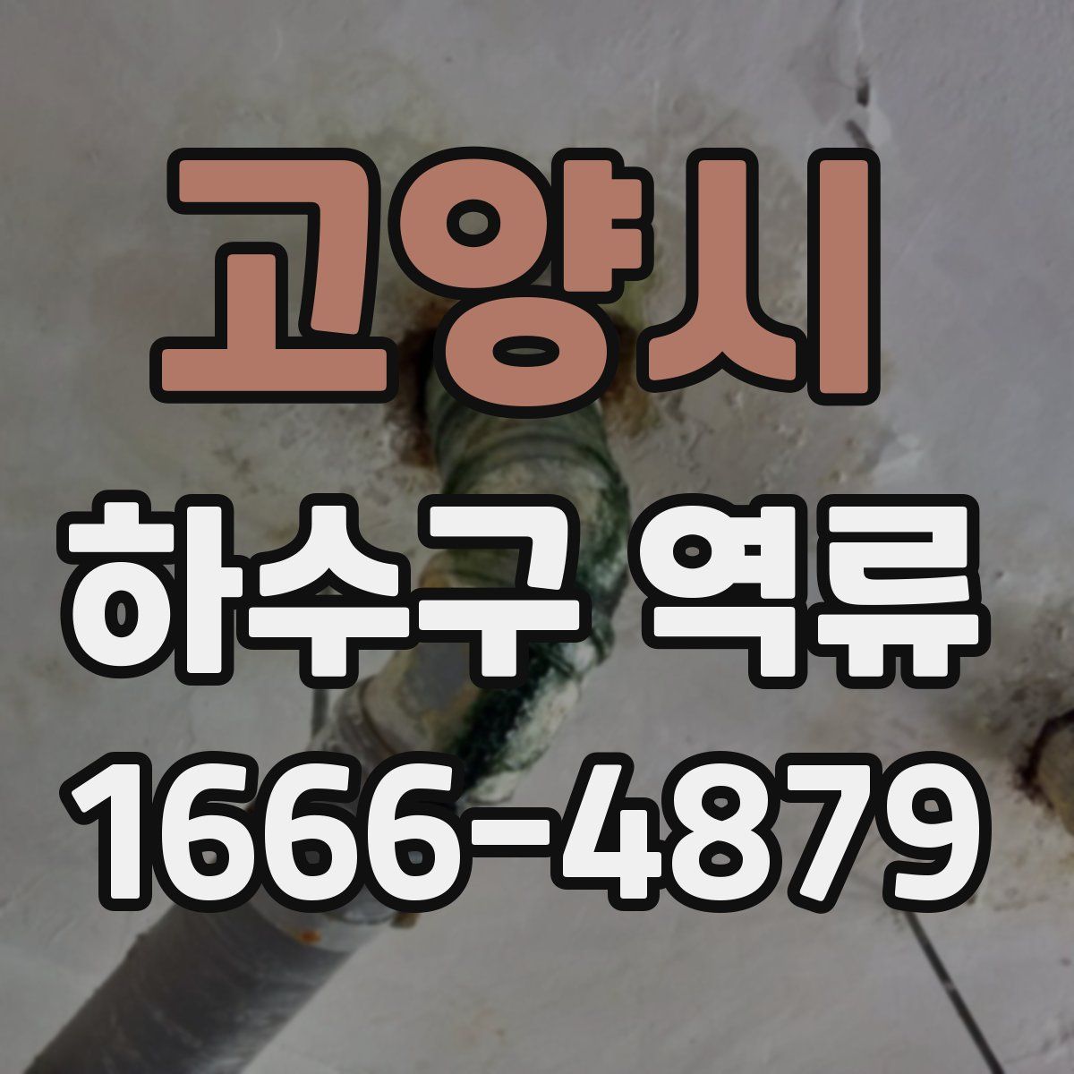 고양시 하수구 역류