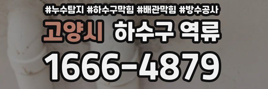 고양시 하수구 역류
