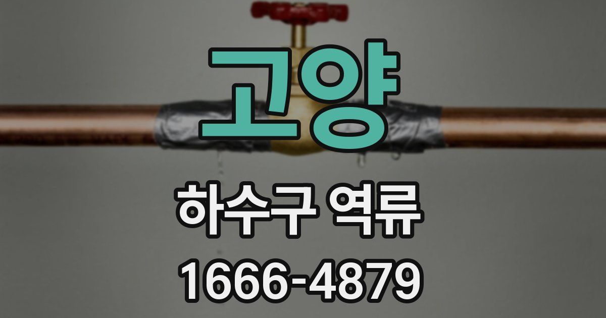고양 하수구 역류