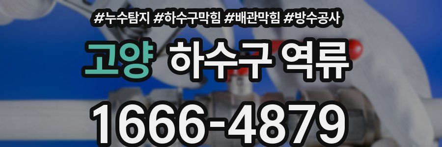 고양 하수구 역류