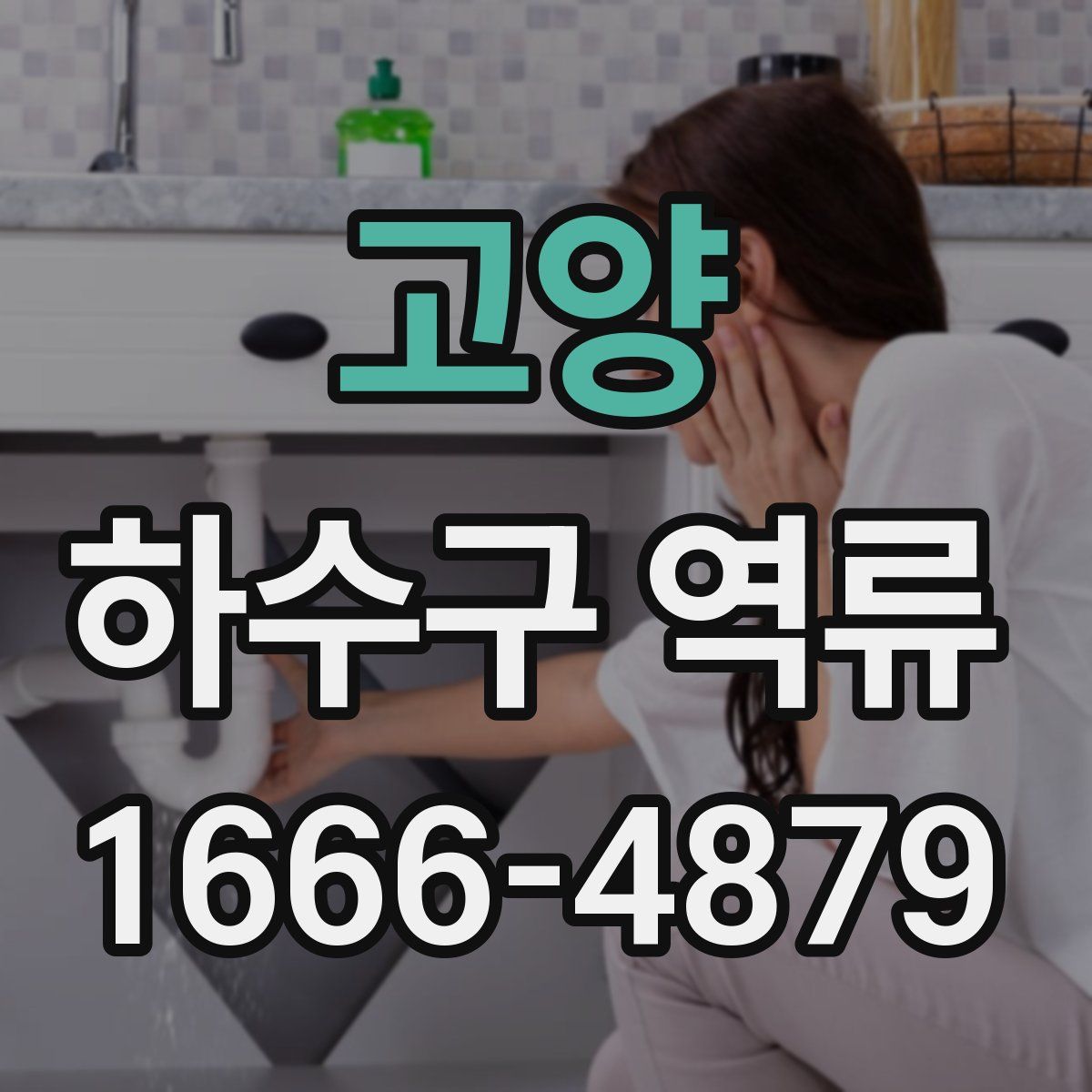 고양 하수구 역류