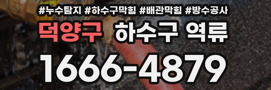 덕양구 하수구 역류