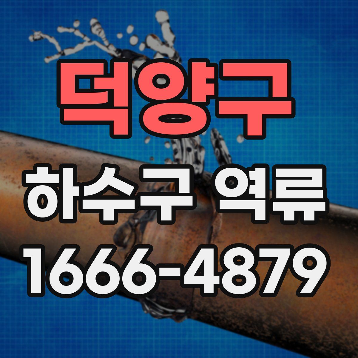 덕양구 하수구 역류