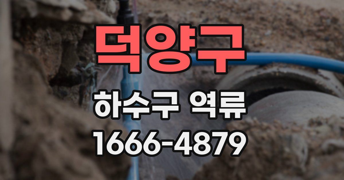 덕양구 하수구 역류