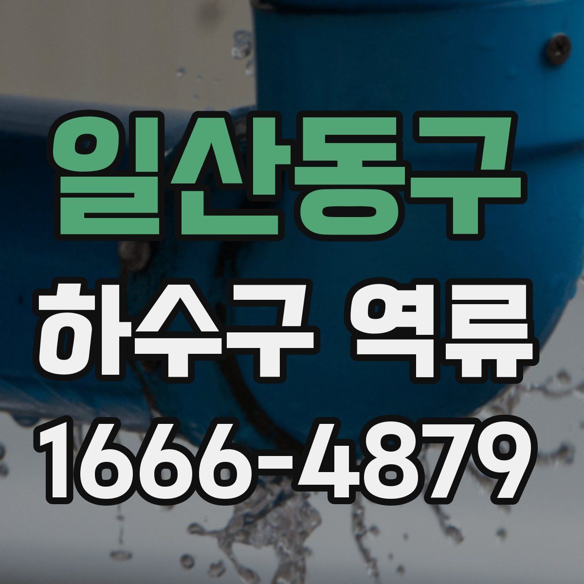 일산동구 하수구 역류