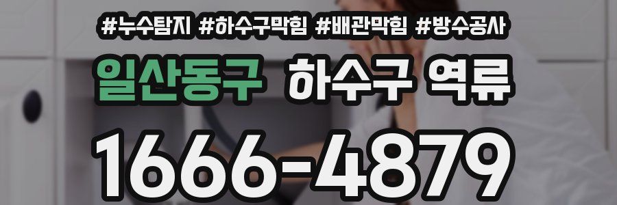 일산동구 하수구 역류