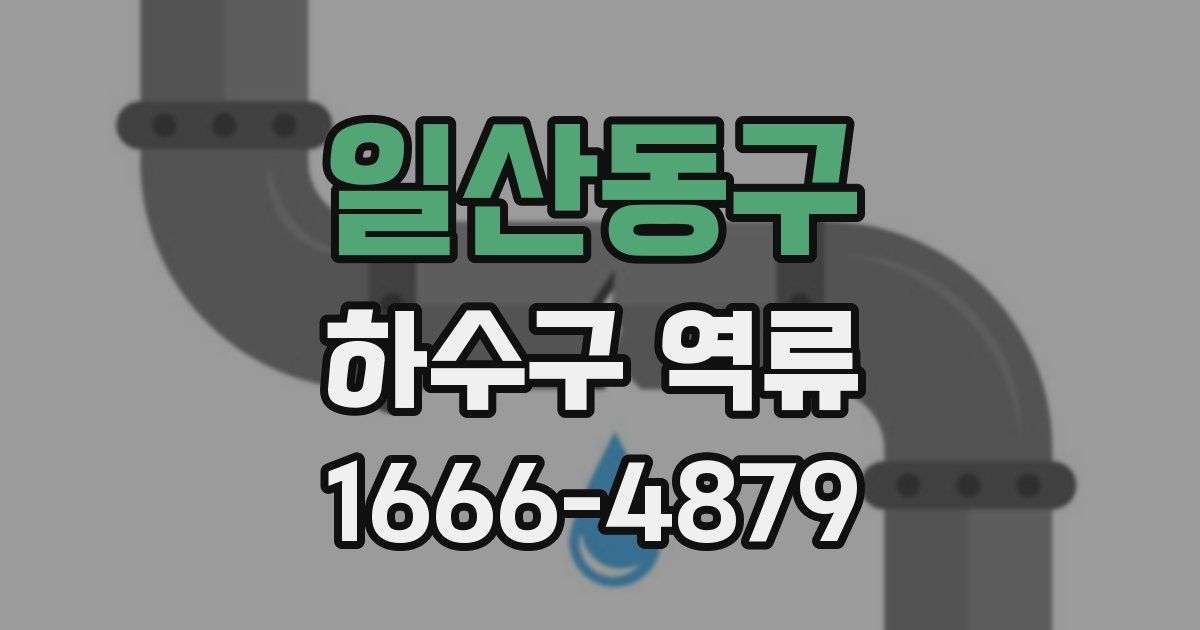 일산동구 하수구 역류