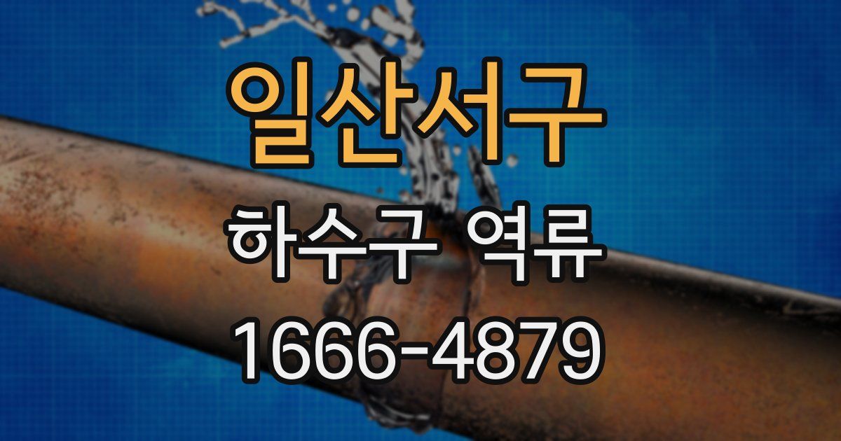 일산서구 하수구 역류