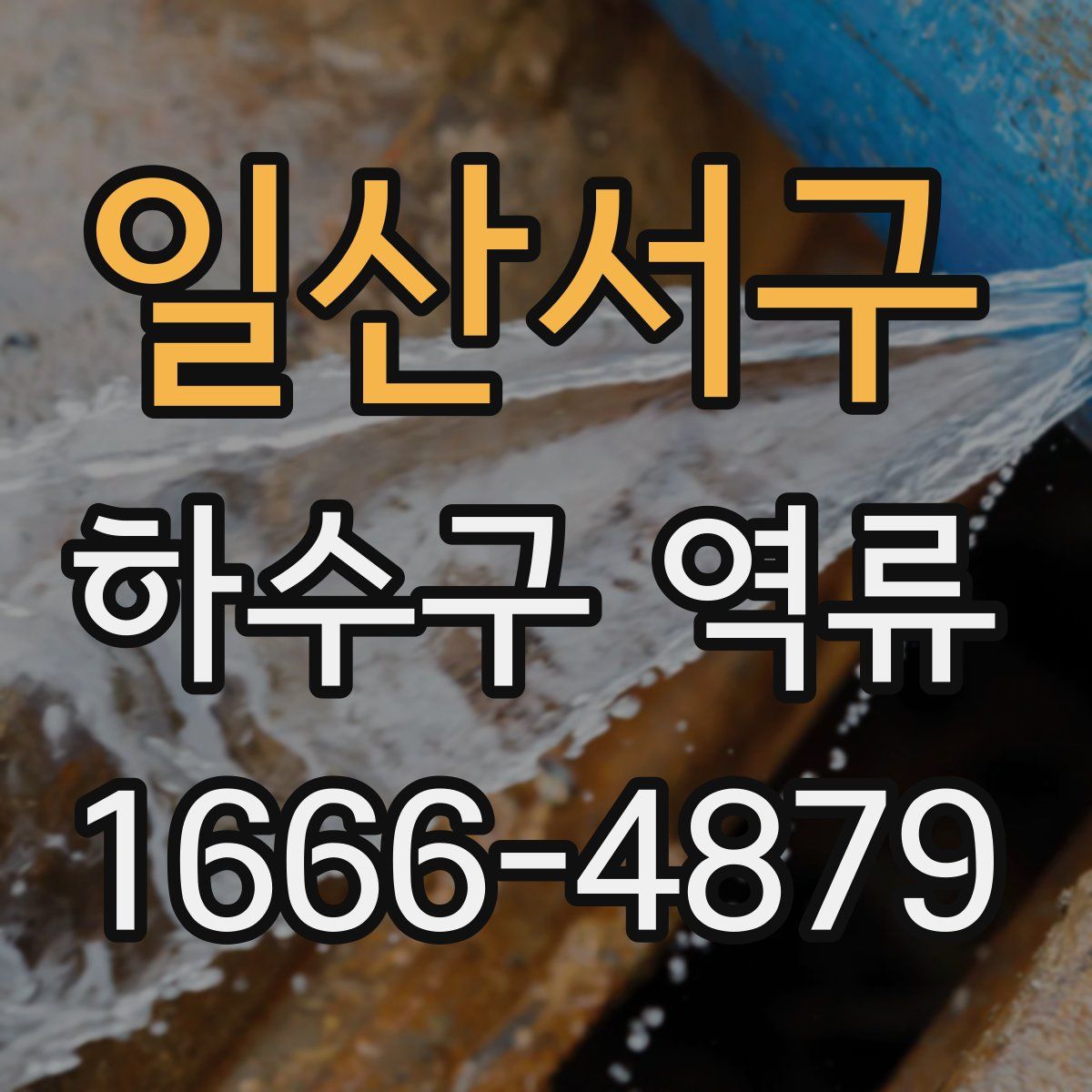일산서구 하수구 역류