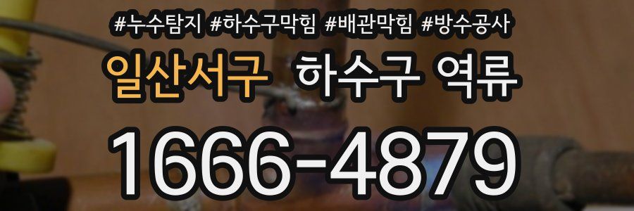 일산서구 하수구 역류