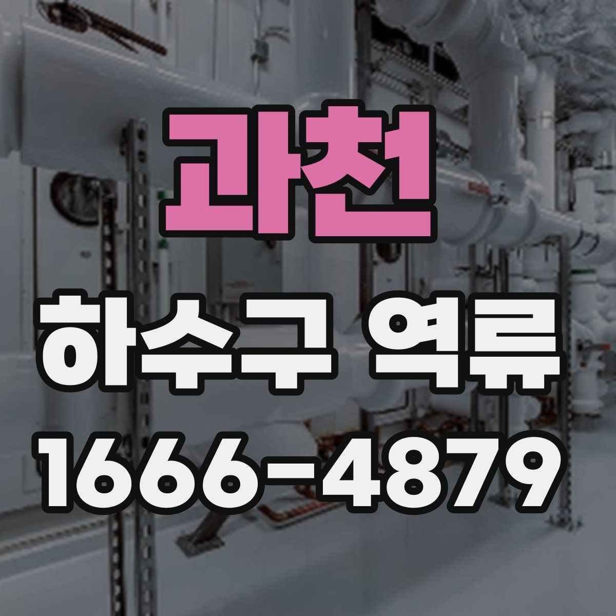 과천 하수구 역류