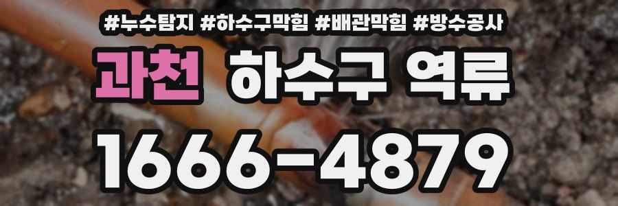 과천 하수구 역류