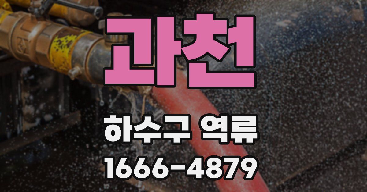 과천 하수구 역류