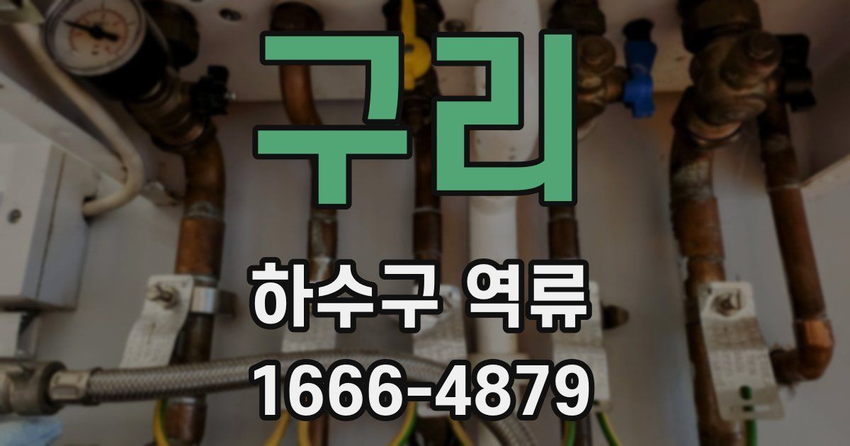 구리 하수구 역류