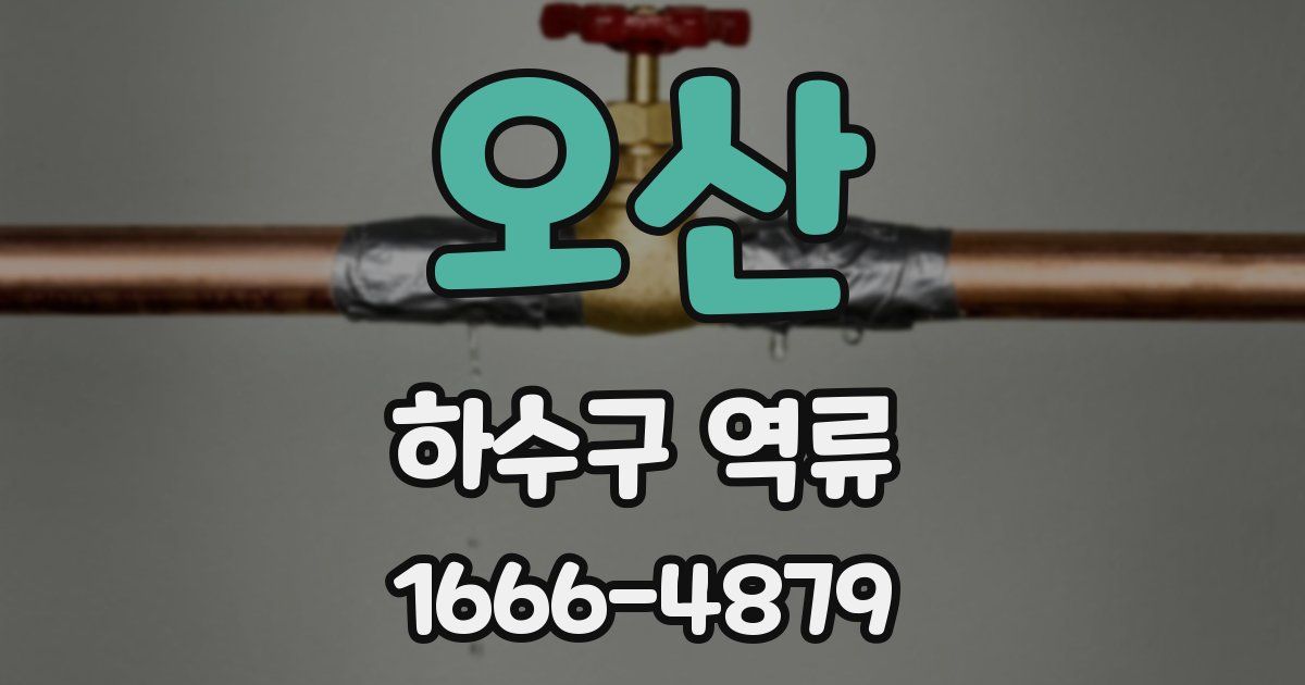 오산 하수구 역류