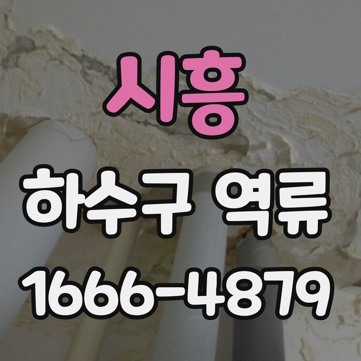 시흥 하수구 역류