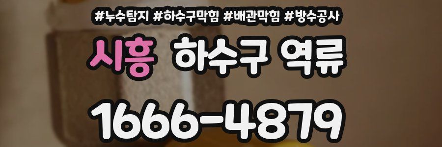 시흥 하수구 역류
