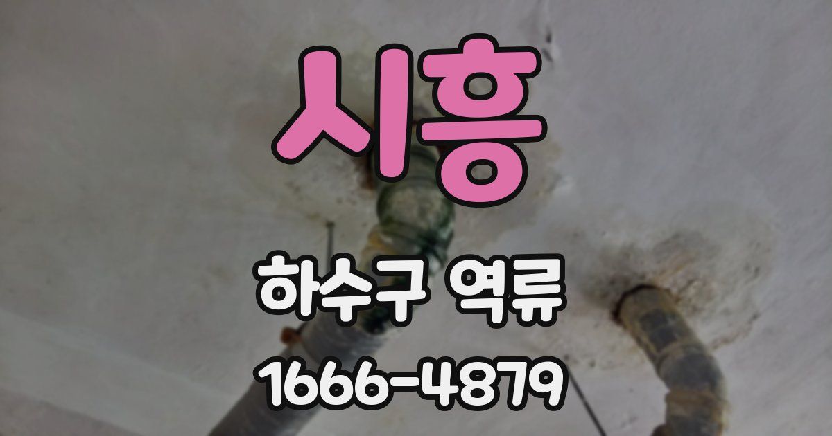 시흥 하수구 역류