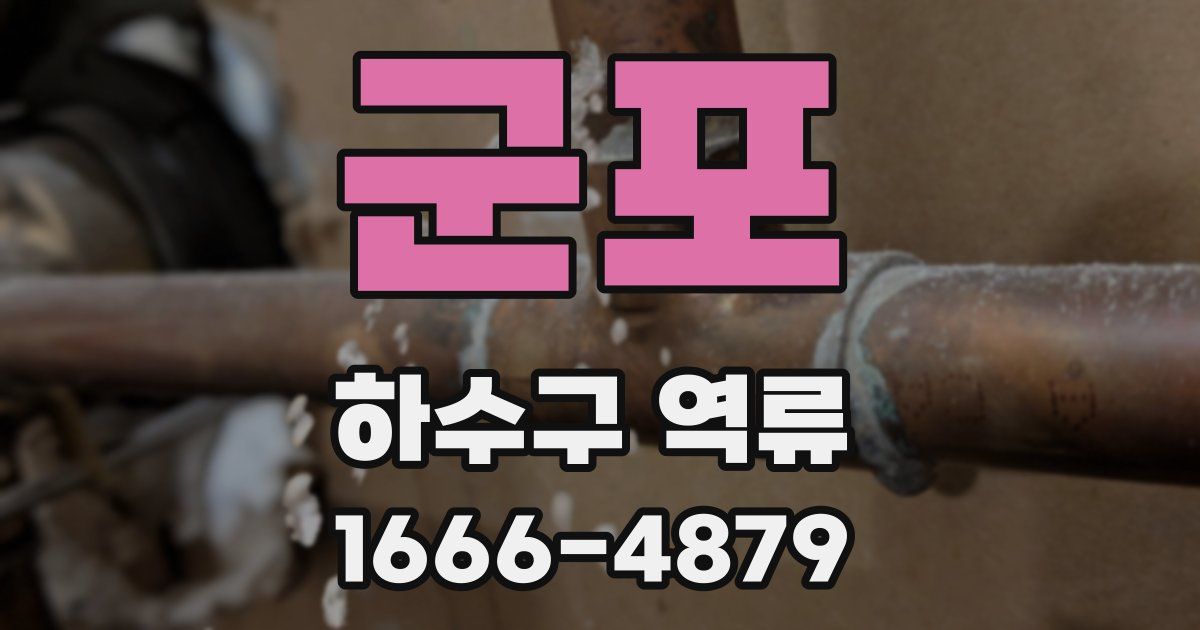 군포 하수구 역류