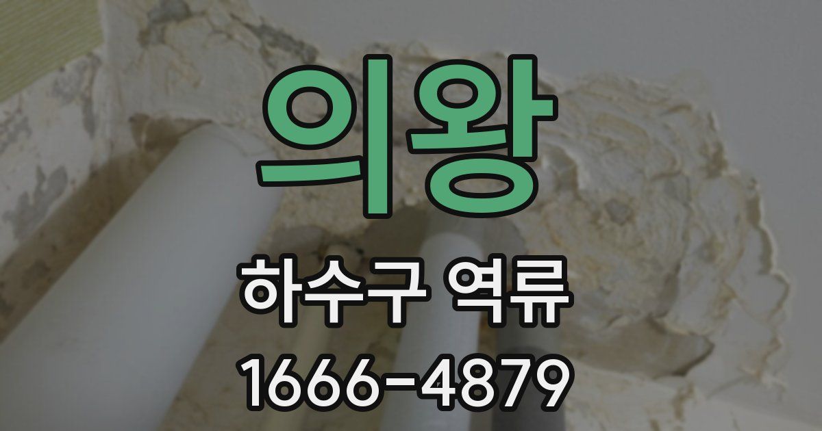 의왕 하수구 역류