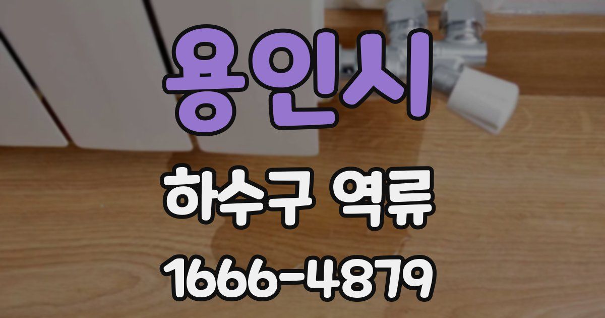 용인시 하수구 역류
