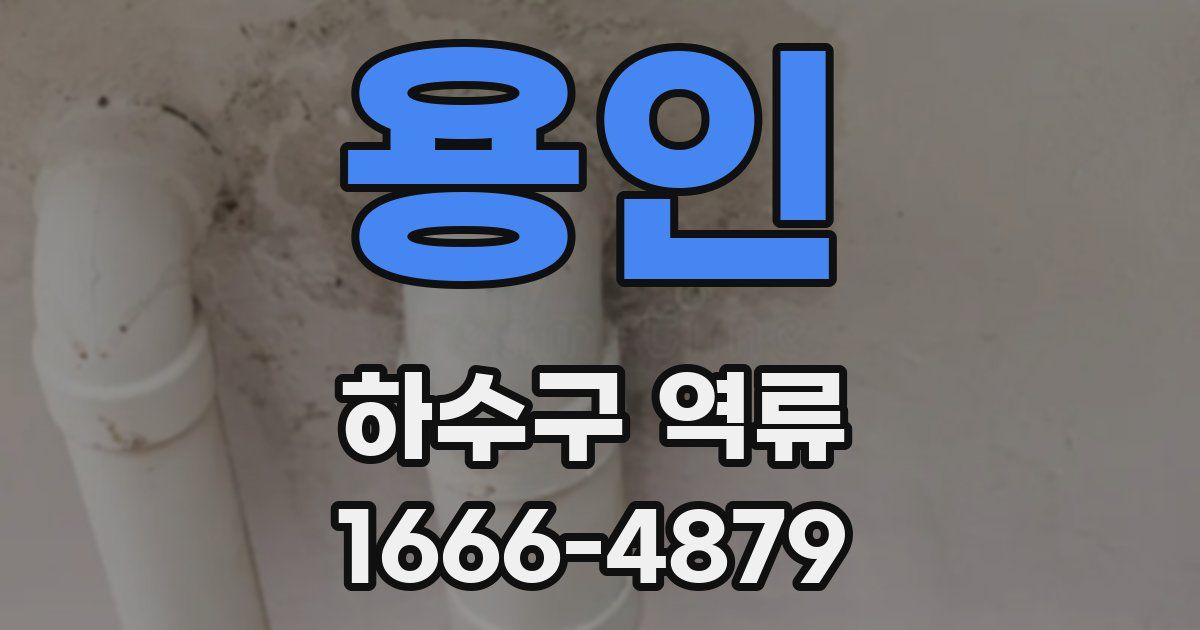 용인 하수구 역류
