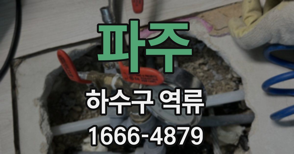 파주 하수구 역류
