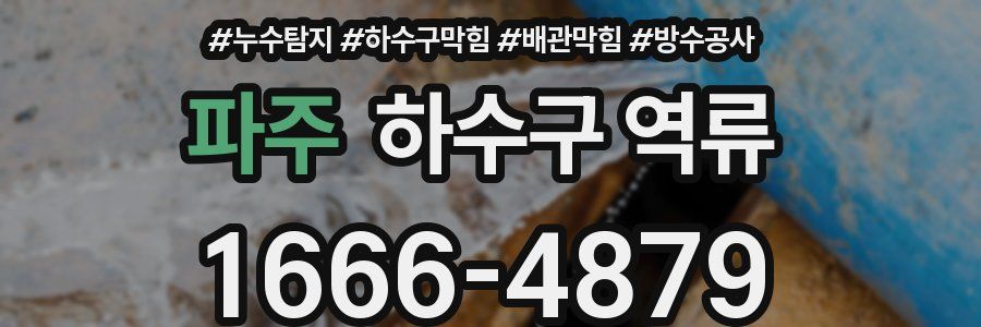 파주 하수구 역류
