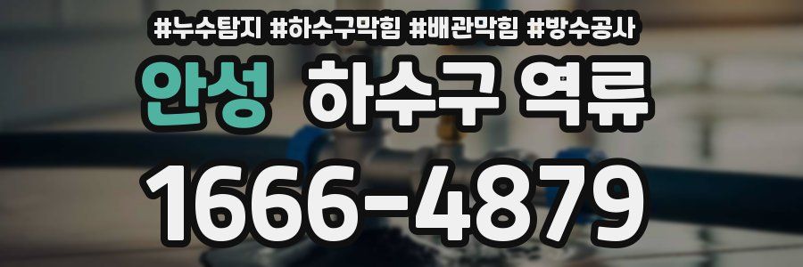 안성 하수구 역류