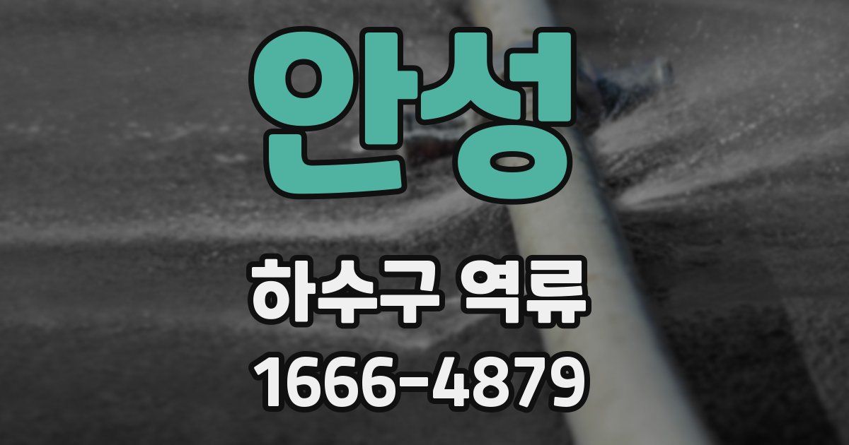 안성 하수구 역류