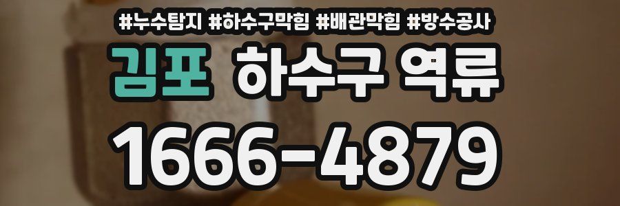 김포 하수구 역류