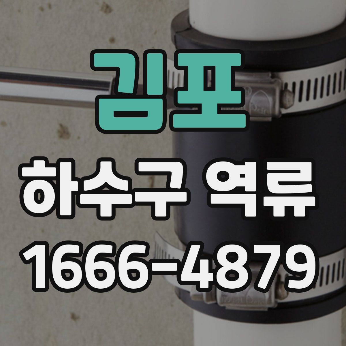 김포 하수구 역류