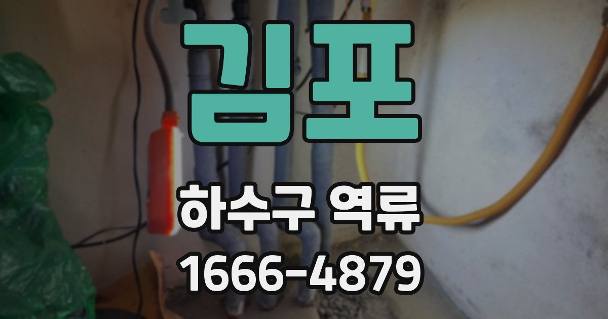 김포 하수구 역류