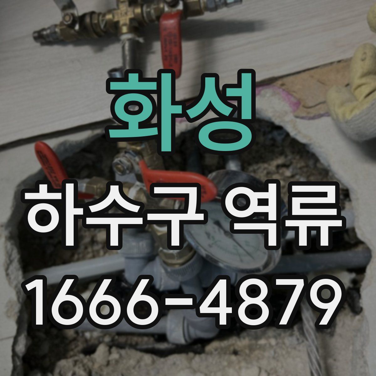 화성 하수구 역류