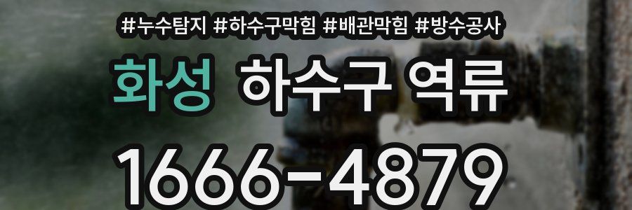 화성 하수구 역류