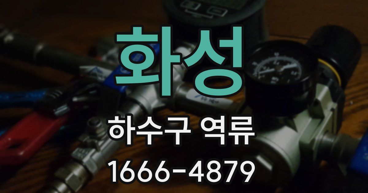 화성 하수구 역류
